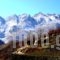 To Archontiko Traditional Guest House Villa_holidays_in_Villa_Thraki_Xanthi_Stavroupoli