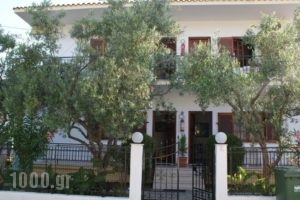 Villa Fotini_accommodation_in_Villa_Aegean Islands_Thasos_Prinos