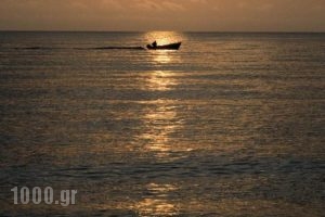 Hotel Sofoklis_lowest prices_in_Hotel_Thessaly_Magnesia_Zagora