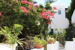 Loukia Apartments & Studios_travel_packages_in_Cyclades Islands_Paros_Paros Chora