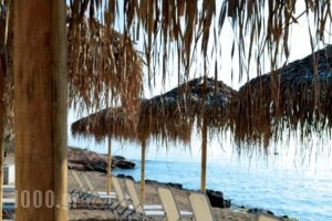 Xanthippi Hotelapart_best prices_in_Hotel_Piraeus Islands - Trizonia_Aigina_Aigina Rest Areas