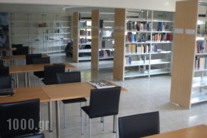 Guesthouse Park of Nestorio_lowest prices_in_Room_Macedonia_kastoria_Nestorio