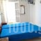 Mandaraka Studios_best prices_in_Hotel_Cyclades Islands_Andros_Andros City