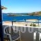 Mandaraka Studios_travel_packages_in_Cyclades Islands_Andros_Andros City