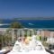 Hotel Anezina_accommodation_in_Hotel_Thessaly_Magnesia_Pilio Area