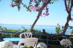 Hotel Hariklia_accommodation_in_Hotel_Crete_Rethymnon_Aghia Galini