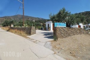 Blue Fish_lowest prices_in_Hotel_Cyclades Islands_Sifnos_Sifnos Chora