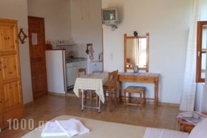 Marianthi Toroz Rooms & Studios_holidays_in_Room_Aegean Islands_Lesvos_Mythimna (Molyvos)