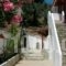 Villa Teozenia_best deals_Villa_Thessaly_Magnesia_Milies