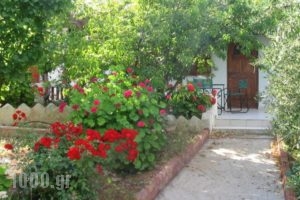 Sunrise Apartments_travel_packages_in_Crete_Lasithi_Sitia