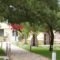 Onar_best deals_Hotel_Peloponesse_Korinthia_Kokkoni