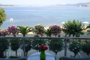 Delfini_lowest prices_in_Hotel_Central Greece_Evia_Karystos