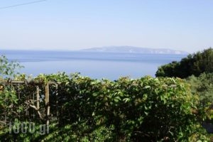 Thanasis Apartments_best deals_Apartment_Ionian Islands_Kefalonia_Kefalonia'st Areas