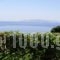 Thanasis Apartments_best deals_Apartment_Ionian Islands_Kefalonia_Kefalonia'st Areas