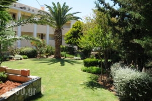 Aphrodite Pension_travel_packages_in_Crete_Rethymnon_Plakias