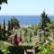 Haus Eleonas_best deals_Hotel_Macedonia_Halkidiki_Poligyros