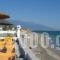 Hotel Golden Sun_lowest prices_in_Hotel_Thessaly_Larisa_Larisa City
