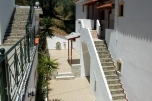 Villa Teozenia_lowest prices_in_Villa_Thessaly_Magnesia_Milies