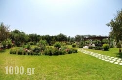 Dallas in Athens, Attica, Central Greece