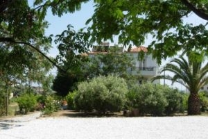 Korali_best prices_in_Hotel_Aegean Islands_Samos_Marathokambos