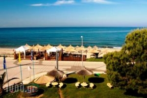 Esperanza Hotel_holidays_in_Hotel_Ionian Islands_Zakinthos_Zakinthos Rest Areas