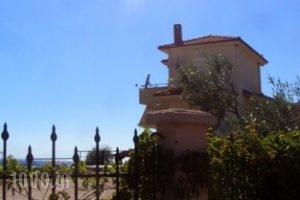 Monopetro_best prices_in_Apartment_Macedonia_Halkidiki_Poligyros