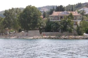 Tzeni Villa_lowest prices_in_Villa_Ionian Islands_Lefkada_Vasiliki