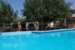 Pension Irene_holidays_in_Hotel_Cyclades Islands_Ios_Ios Chora