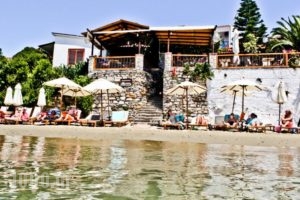 Megali Ammos House_accommodation_in_Hotel_Sporades Islands_Skiathos_Skiathoshora