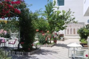 Hotel Apollon_holidays_in_Hotel_Central Greece_Aetoloakarnania_Mesologgi