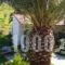 House Lena_best deals_Hotel_Macedonia_Halkidiki_Toroni