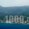 Kalypso studios and apartments_accommodation_in_Apartment_Ionian Islands_Kefalonia_Kefalonia'st Areas